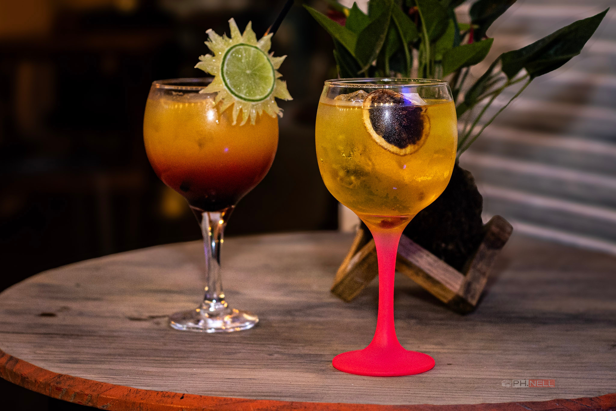 Gin com Especiarias como zimbro, pimenta rosa e rodelas de limão siciliano